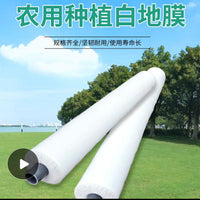 Heavy Duty Transparent Greenhouse Plastic Film Roll - Various Widths and Thicknesses for Agricultural Use