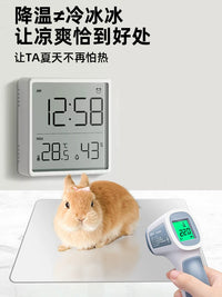 Pet Cooling Aluminum Plate for Rabbits and Hamsters, Summer Ice Pad Heat Dissipation Board