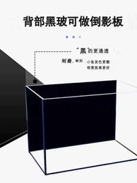 Black-Backed Desktop Aquarium Fish Tank for Home and Office