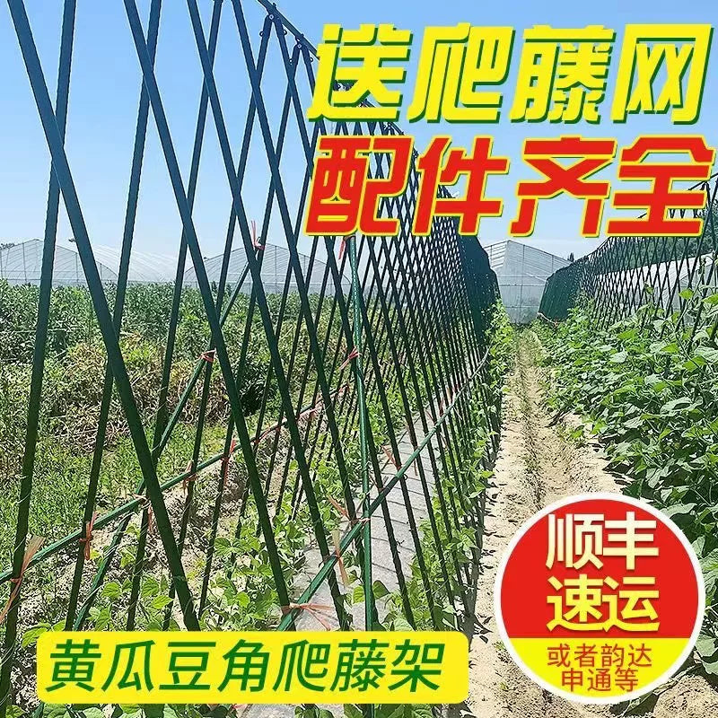 Cucumber Trellis Bean Pole Vegetable Support Tomato Cage Garden Arch Frame for Climbing Plants