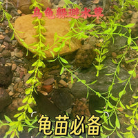 Artificial Aquatic Plants for Fish and Turtle Tanks, Anti-Bite and Anti-Drowning Decor