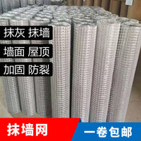 Welded Wire Mesh for Plastering and Anti-Cracking, Galvanized Steel Wire Netting for Walls and Chimneys