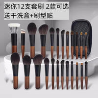 Mini 12-Piece Makeup Brush Set for Travel and Beginners - Eyeshadow & Powder Brushes