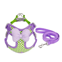 Breathable Pet Harness and Leash Set for Small Dogs - Bichon, Teddy, Outdoor Walking