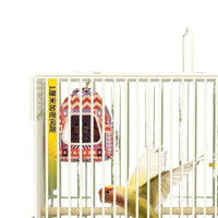 Tall Indoor Parrot Cage for Breeding Cockatiels and Parakeets