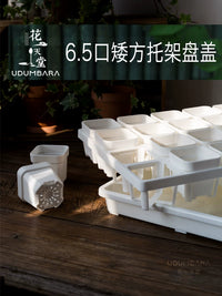 Thickened 6.5cm Square Succulent Planter with Seedling Tray and Humidity Dome