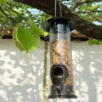 Outdoor Hanging Bird Feeder for Small Birds, Parrots, and Mynah Birds