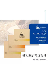 Glimona VS100 Professional Violin Strings for Adults and Children