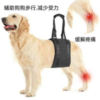 Dog Rear Leg Support Harness for Senior Dogs and Post-Surgery Rehabilitation