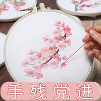 DIY Punch Embroidery Kit with Ribbon Silk Embroidery for Ancient Style Round Fan
