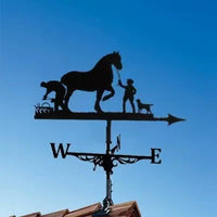 Weather Vane Iron Art Spray Painted Garden Roof Ornament