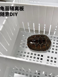 Turtle Hatchling Nursery Tank with Heating, Thermostat, and Isolation Box