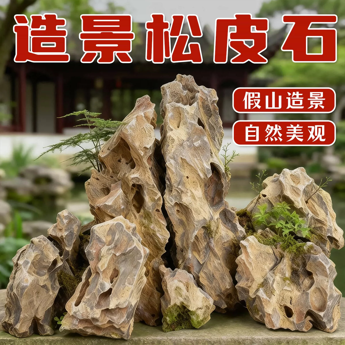 Natural Pine Bark Rock for Aquarium Landscaping and Micro-Landscape Decor