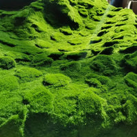 Artificial Moss Landscape Mat for Micro-Landscape and Potted Plant Decoration