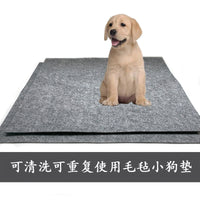 Washable Absorbent Non-Slip Pet Crate Pad for Dogs and Cats, Felt Mat