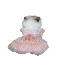 Handmade Sweet Mesh Doll Cat Golden Shaded Doll Outdoor Princess Dress