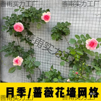 Garden Trellis Netting for Climbing Plants, Roses, and Vines - Wall-Mounted Support Mesh