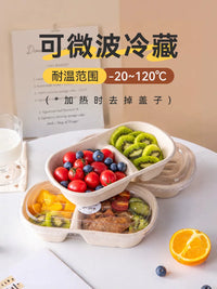 Eco-Friendly Divided Pulp Lunch Boxes for Picnics & Camping, Microwave & Freezer Safe
