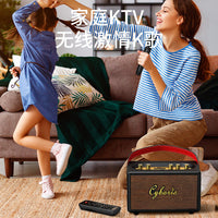 Cyboris Portable Karaoke Wireless Bluetooth Speaker with Microphone, Retro FM Radio for Home and Outdoor Use