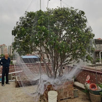 Nylon Bird Netting for Fruit Trees, Orchards, and Ponds - Protective Mesh for Cherries, Grapes, and Aquaculture