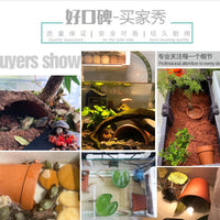 Terracotta Turtle Basking Platform & Hideaway Cave for Reptiles and Fish Tanks