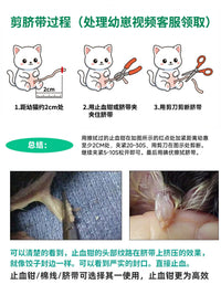 Pet Birthing Tent for Cats and Small Dogs, Whelping Box for Pregnant Pets, Portable Delivery Room Nest