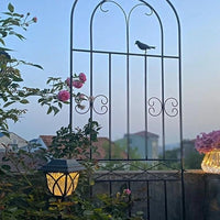 Garden Trellis for Climbing Plants, Rose, Clematis, and Ivy - Metal Arch Support for Patio and Villa
