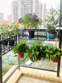 Outdoor Iron Balcony Railing Planter Rack Wall-Mounted Window Plant Shelf