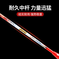 DHS Carbon Ultralight Badminton Racket Set for Adults and Students, Durable Offensive Play