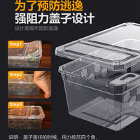 Nomoy Pet Reptile Breeding Box Transparent Terrarium for Spiders Geckos Amphibians
