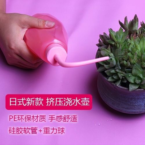 7-Piece Succulent Garden Tool Set with Watering Can and Accessories