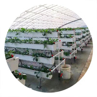 Hydroponic Strawberry Planter Gutter System Multi-tier Vertical Growing Trough for Seedling Cultivation