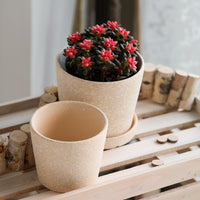 Unglazed Terracotta Slanted Round Planter Pot for Plants and Flowers