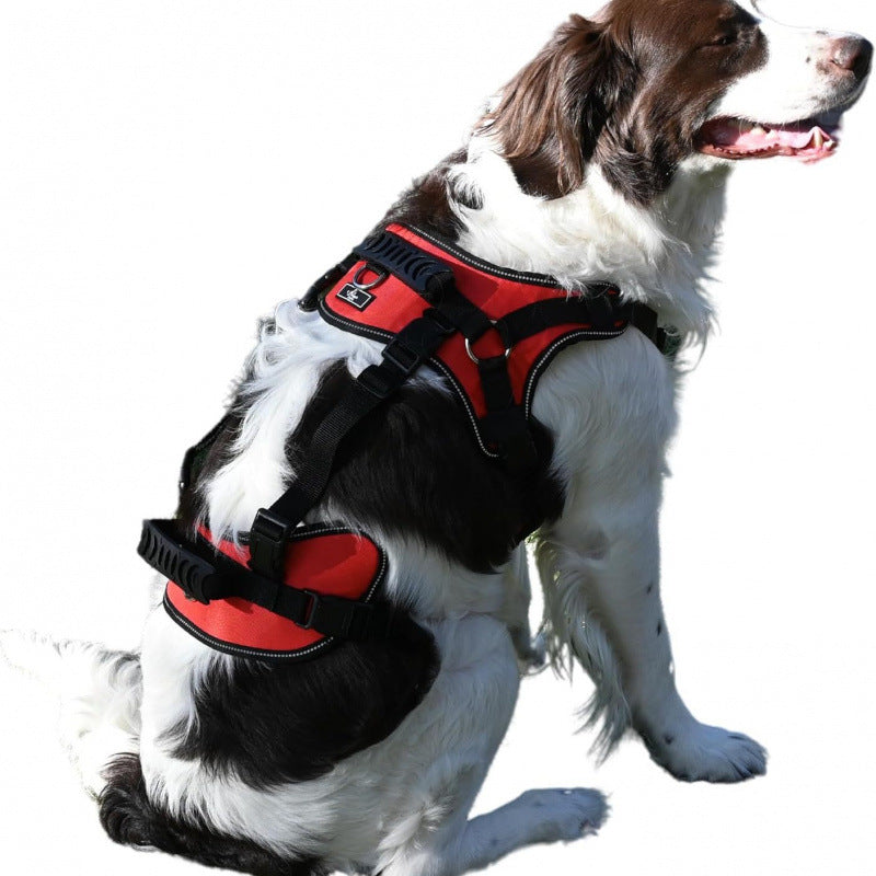 Pet Dog Wheelchair for Hind Leg Rehabilitation - Corgi Mobility Aid Cart