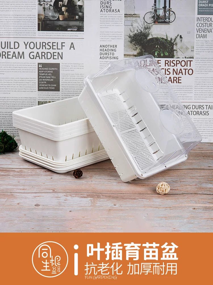 Thickened White Plastic Seedling Trays for Succulents and Lithops, Small Propagation Planters