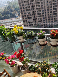 Balcony Railing Hanging Planter Rack for Succulents and Potted Plants, Iron Art Window Sill Flower Pot Holder