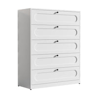Modern Minimalist Metal 5-Drawer Chest for Bedroom and Living Room Storage