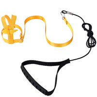 Bird Flight Harness and Leash for Training and Outdoor Walking
