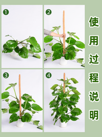 Bendable Coir Moss Pole for Climbing Plants, Plant Support Stake for Potted Plants