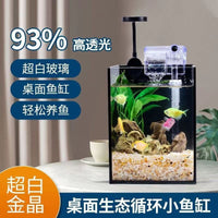 Mini Ultra-White Glass Fish Tank for Desktop and Office