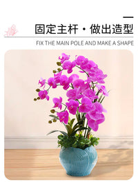 Orchid Plant Support Stakes and Clips for Climbing Vines and Floral Arrangements