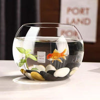 Glass Spherical Fish Tank for Home Hydroponics and Ecological Landscaping