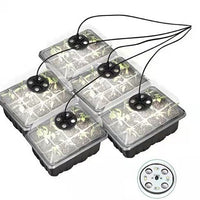 Seedling Starter Trays with Grow Lights and Ventilation Domes, Thickened Plant Germination Kit