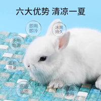 Hamster Cooling Pad for Summer Heat Relief - Pet House Ice Mat for Golden Bears and Rabbits