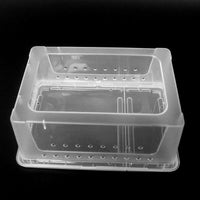 Reptile Terrarium with Basking Platform for Turtles, Spiders, Crabs, Frogs, Geckos, and Insects