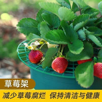 Strawberry Plant Support Stand for Garden and Potted Plants, Prevents Rot and Waterlogging