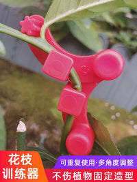 Adjustable Plant Branch Bender for Bonsai and Garden Training, Multi-Directional Growth Clips