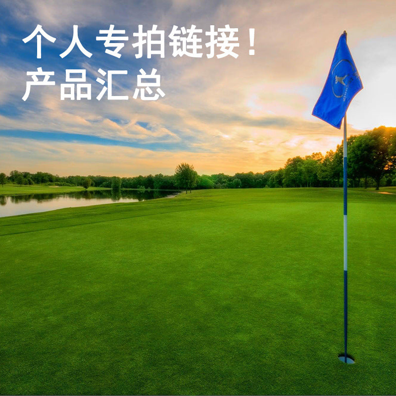 Golf Swing Trainer and Putting Practice Aid