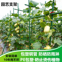 Rectangular Coated Steel Garden Trellis for Climbing Plants