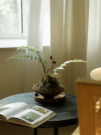 Artificial Fern Bonsai with Zen-Inspired Pot for Home and Office Decor